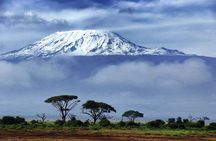 6 Day: Hiking Kilimanjaro via Machame Route