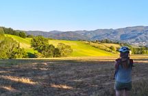Land of painters - the origins of the Tuscan landscape