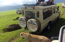 4 DayTanzania Great Wildebeest Migration Tour inside Serengeti