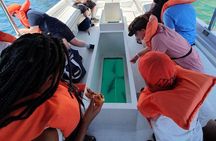 Cabo San Lucas Arch Private Boat Tour