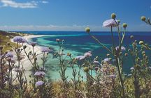 Rottnest Island Full-Day Trip With Island Tour from Hillarys