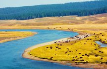 Yellowstone & Grand Teton National Parks: Small Group 3-Day Tour