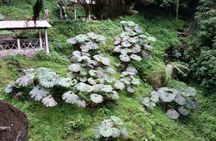 Quetzaltenango and Fuentes Georginas Hot Springs from Panajachel