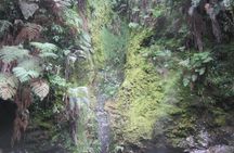 Quetzaltenango and Fuentes Georginas Hot Springs from Panajachel