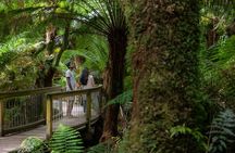 Great Ocean Road Grampians 3 Day National Park Tour Melbourne Roundtrip