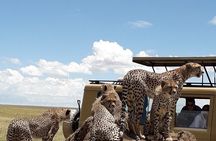 6 Day Group Camping Safari Tarangire Serengeti Ngorongoro Manyara