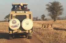 6 Day Group Camping Safari Tarangire Serengeti Ngorongoro Manyara