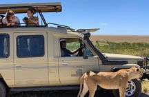 6 Day Group Camping Safari Tarangire Serengeti Ngorongoro Manyara