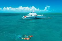 Key West Double-Dip Snorkel Tour-Two Stops, Twice the Fun! 