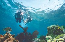 Key West Double-Dip Snorkel Tour-Two Stops, Twice the Fun! 