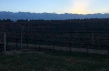 Full-Day Small-Group Mendoza Wine Tasting Tour with Lunch or Dinner