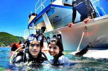 Acapulco Beginners Scuba Diving 