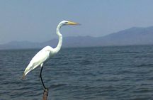 Acapulco Shore Excursion: Coyuca Lagoon Cruise
