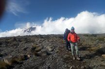 Private Day Tour and Hike in Kilimanjaro National Park