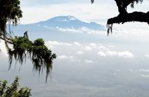 Private Day Tour and Hike in Kilimanjaro National Park