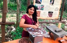 Tulum: Chocolate & Honey Sanctuary Experience with Cenote
