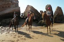 1 day horseback ride with lunch