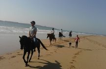 1 day horseback ride with lunch