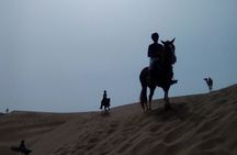 1 day horseback ride with lunch