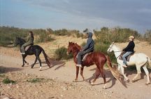 1 hour horse ride on the beach of essaouira