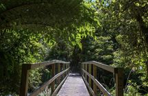 Old Coach Road Self-Guided Bike Tour from Ohakune