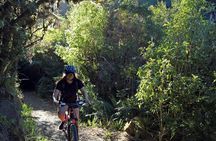 Old Coach Road Self-Guided Bike Tour from Ohakune