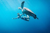 Gili Island Snorkeling Trip - Gili Trawangan, Gili Meno, & Gili Air, From Lombok