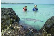 3.5 Hour Kailua-Kona Ocean Kayak and Snorkel Tour
