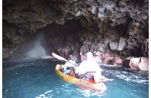 3.5 Hour Kailua-Kona Ocean Kayak and Snorkel Tour