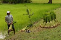Village Life Tour from Siem Reap
