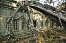 Day Trip to Beng Mealea Temple and Kampong Khleang from Siem Reap