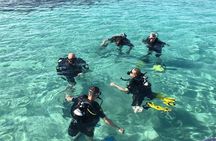 Beginners Discover Scuba Diving By Boat, Best Spot In Cyprus