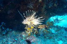 Beginners Discover Scuba Diving By Boat, Best Spot In Cyprus
