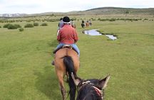 Horseback Riding with Asado in San Carlos de Bariloche, Argentina