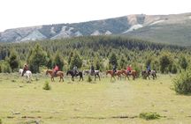Horseback Riding with Asado in San Carlos de Bariloche, Argentina