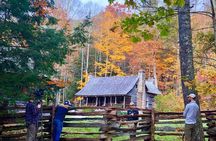 Blue Ridge Parkway Waterfalls Hiking Tour from Asheville