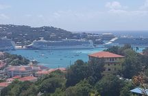 St Thomas Half Day Private Tour (1-10 ppl)