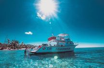 Snorkeling Tour to Vieques Island