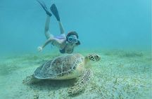 Snorkeling Tour to Vieques Island