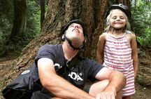 Stanley Park & Downtown - Vancouver Bike Tours 
