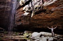 Waterfalls and Blue Ridge Parkway Hiking Tour with Expert Naturalist