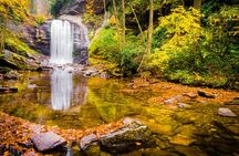 Waterfalls and Blue Ridge Parkway Hiking Tour with Expert Naturalist