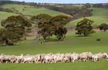 Kangaroo Island Luxury Small Group 'Island Life' Full Day Tour