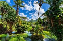 Rastafari Cultural ATV Community Experience from Montego Bay