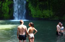 Private Tour : Bali Best Waterfalls, Temples and Monkey Forest