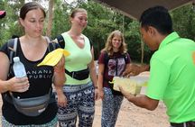 Angkor Wat and Small Circuit Temples by Private Transport 