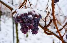 East Kelowna Wine Tour - Classic - 4 Wineries