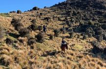 Rubicon Valley Horse Treks - 2 Hour River Trail Horse Trek
