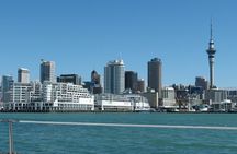 Auckland City Highlights Small Group Tour