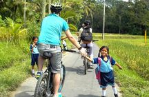 Tetebatu Cycling Tour: Ricefields, Monkey Forest, & Bamboo Craft
